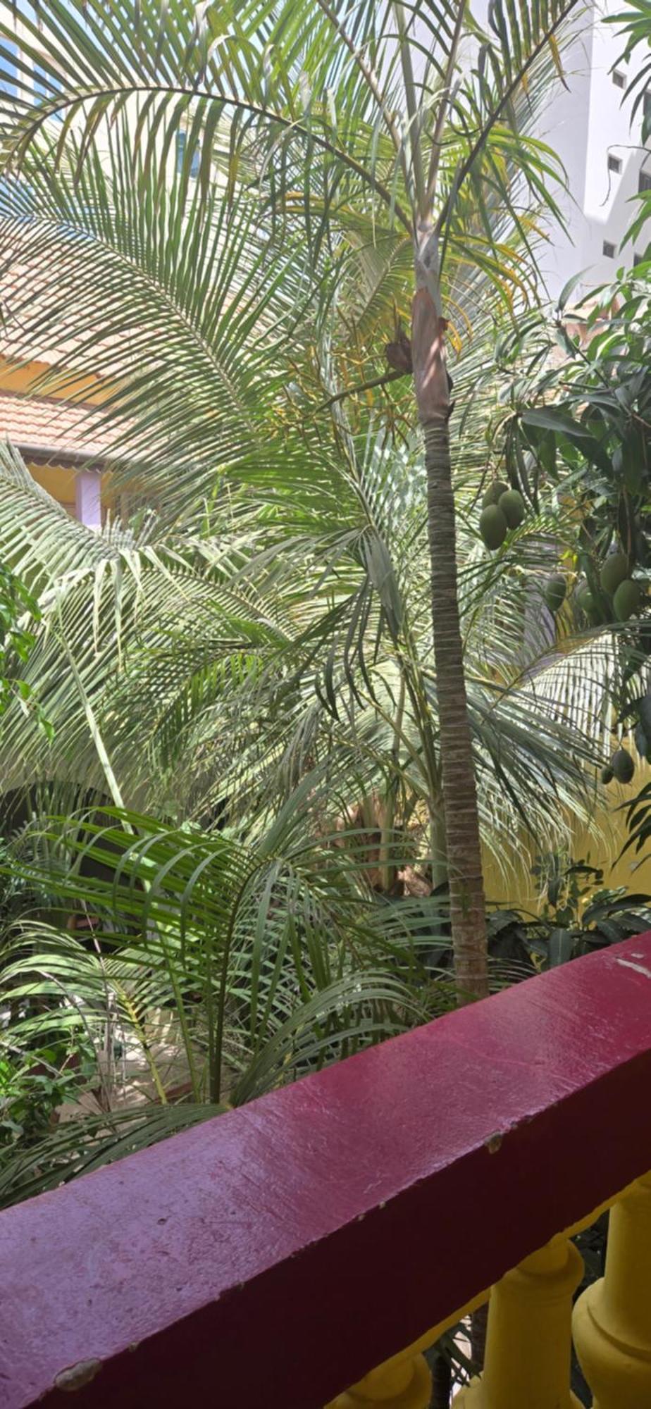 Hotel Saint-Louis Sun Ντακάρ Εξωτερικό φωτογραφία